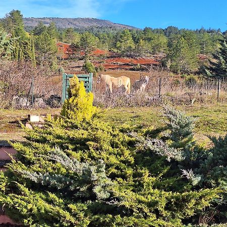 Studio " Le Fare Des Terres Rouges" Dans L Aude Arques  Exterior foto