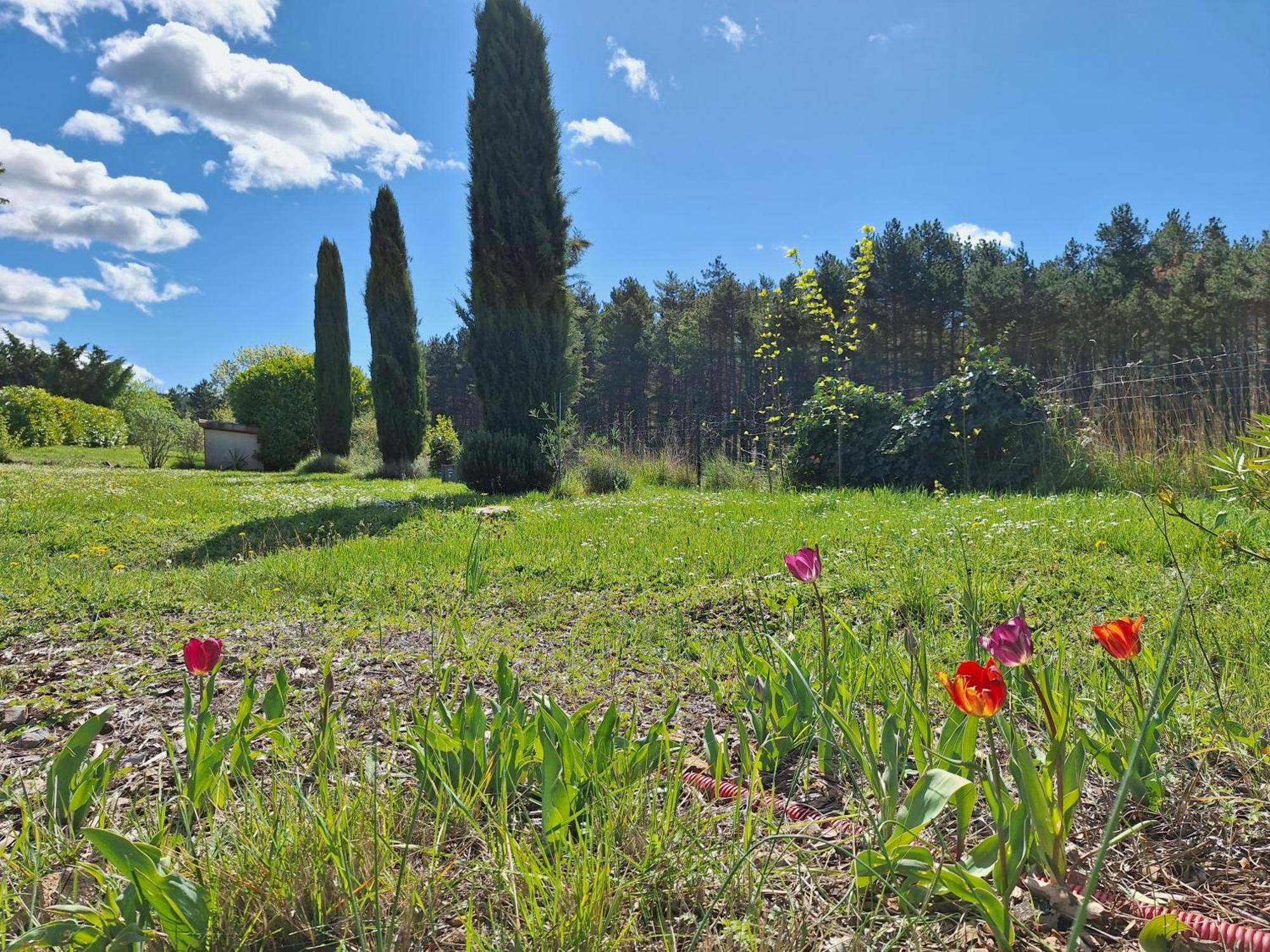 Studio " Le Fare Des Terres Rouges" Dans L Aude Arques  Exterior foto