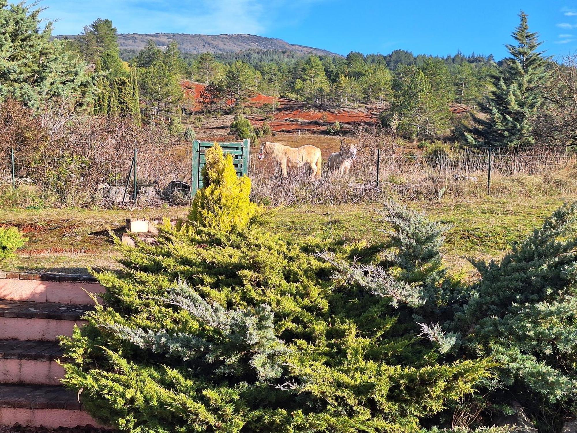Studio " Le Fare Des Terres Rouges" Dans L Aude Arques  Exterior foto